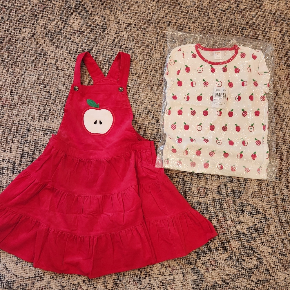 Gymboree Back to School Apple Jumper & Shirt - Size 10